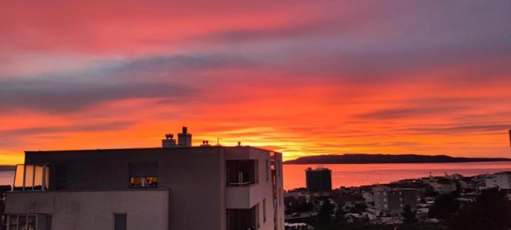 Apartament Magnolia *